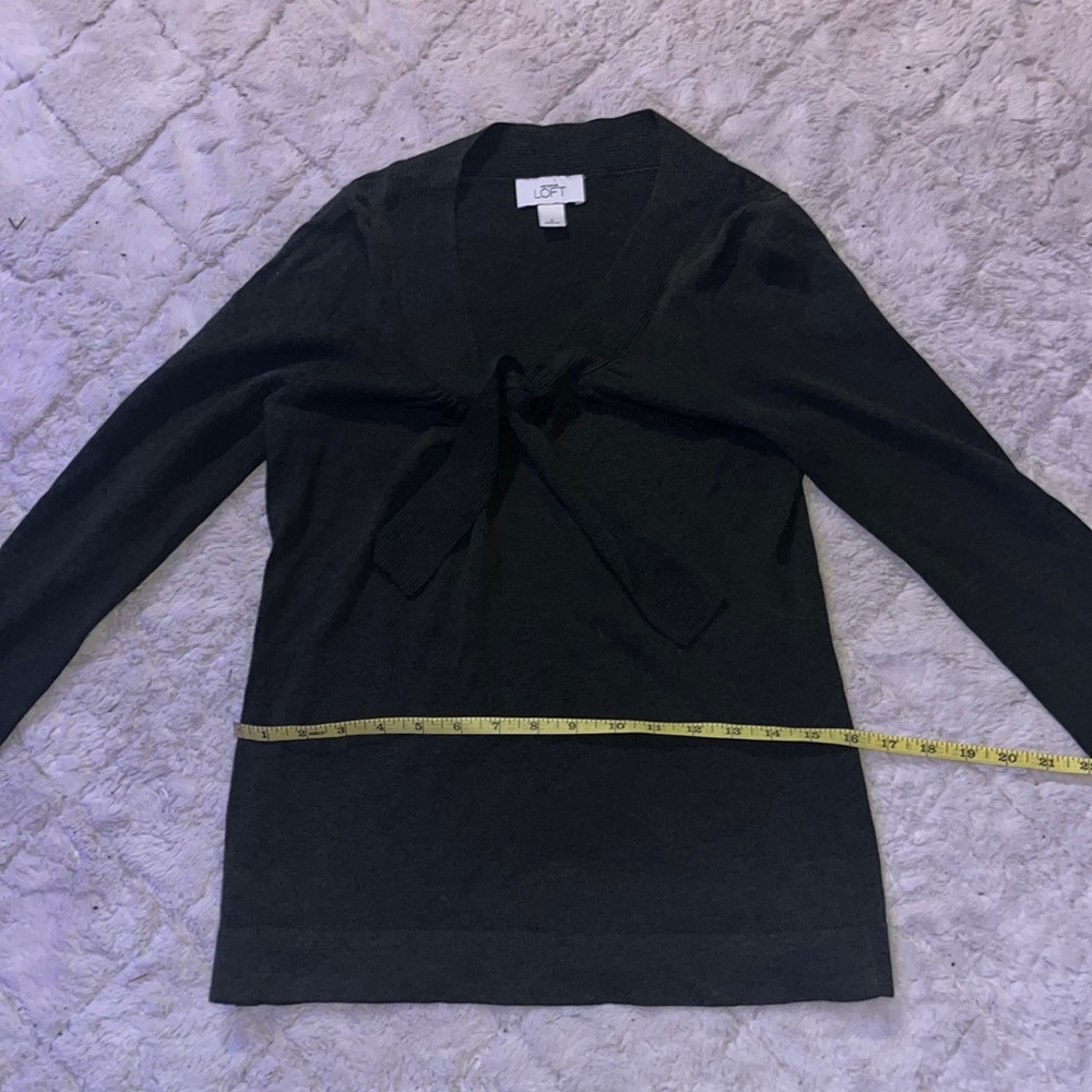 ann taylor loft sweater